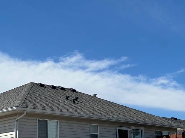 Best Gutter Installation and Repair  in Roseland, FL